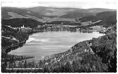 AK, Titisee Hochschwarzw., Totale, um 1960