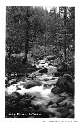 AK, Vesser Thür. Wald, Partie im Vessertal, 1959