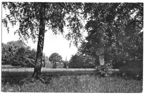 AK, Zeuthen Kr. Königs Wusterhausen, Bl. z. Kirche 1968