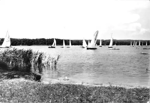 AK, Bad Saarow - Pieskow, Am Scharmützelsee, 1975