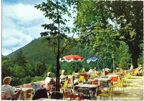 Ansichtskarte, Bad Harzburg, Waldgasthaus Sennhütte, Terrasse mit Blick zum Burgberg, 1966