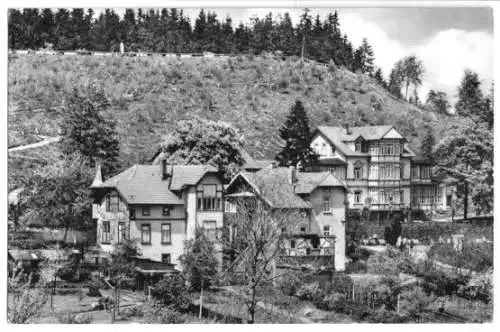 AK, Finsterbergen Thür. Wald, Villen am Naturpark, 1966