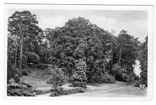 AK, Neu Fahrland bei Potsdam, Sanatorium "H. Heine", Blick von d. Terrasse, 1955