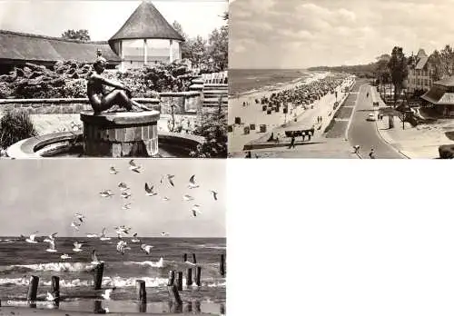 Lot von 10 AK, Ostseebad Kühlungsborn, 1961 - 1984