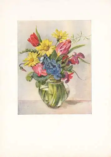 Stillleben, neun Drucke, Blumen, 1950er