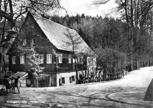 Ansichtskarte, Penig, Waldgaststätte Höllmühle, V. 2, 1972