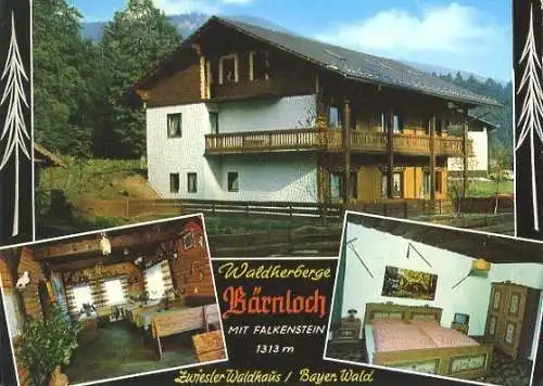 Ansichtskarte, Zwieselerwaldhaus, Waldherberge "Bärnloch", 1977