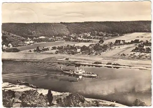 AK, Diesbar-Nieschütz a.d. Elbe, Totale mit dem Golkwald, 1959