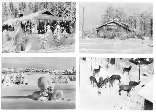 Mäppchen mit 10 kleinen Fotos, Frauenwald Rennsteig, 1981, Format: 10,3 x 7,5 cm