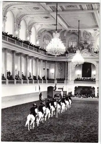 AK, Wien, Hofburg, Spanische Reitschule, Einreiten zur Schulquadrille, um 1966