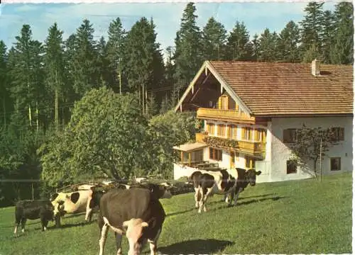 AK, Hammer bei Siegsdorf, Berggaststätte Farnbichlalm, um 1974