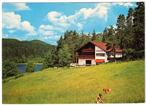 AK, Rothau Dreiburgensee, Pension-Restaurant Seehof, um 1978
