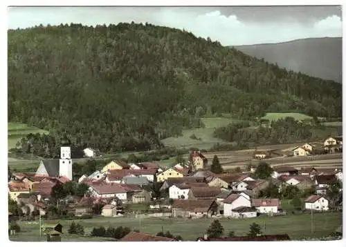 AK, Miltach Bayer. Wald, Teilansicht, 1967