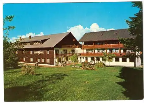 AK, Bischofsreut Bayer. Wald, "Pension im Wiesengrund", um 1985
