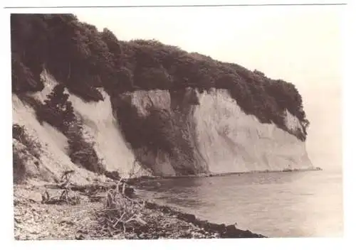 Echtfoto 1930, 12 x 17 cm, Sassnitz Rügen, Steilküste bei Sassnitz, Vers. 2