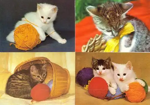 AK - Posten, 80 Colorkarten, Thema Katzen, 1970er - 2000er