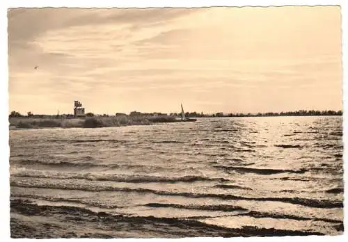 AK, Magdeburg, Partie am Barleber See, 1960