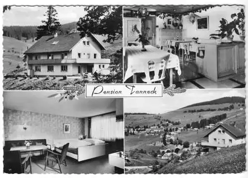 AK, Todtnauberg Schwarzwald, Pension Tanneck, vier Abb.,  1964