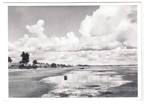 AK, Tschorna am Peipussee, Mustvee, Estland, Totale, um 1958