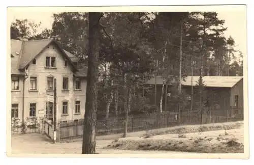 AK, Seifersdorf, Eingang zur Heilstätte, Echtfoto, Handabzug, 1951