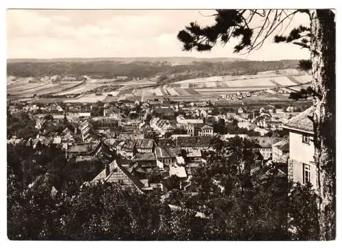 AK, Bad Frankenhausen Kyffh., Stadtblick von der Karnstedtstr., 1963