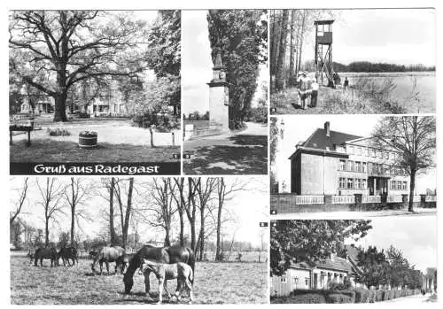 AK, Radegast, sechs Abb., 1975