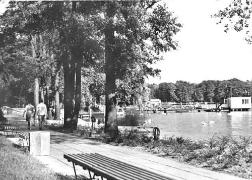 AK, Bad Saarow - Pieskow, An der Schwanenwiese, belebt, 1979