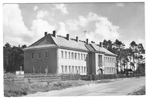 AK, Torgelow Meckl., Staatlicher Forstwirtschaftsbetrieb, 1961