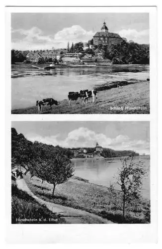 AK, Althirschstein, Schloß Hirschstein an der Elbe, zwei Abb., 1950