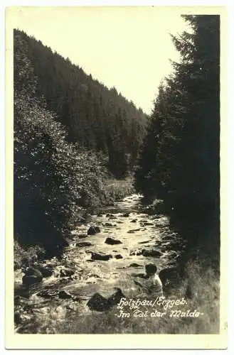 AK, Holzhau Erzgeb., Partie im Muldetal, Echtfoto, 1954