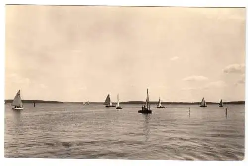 AK, Plau Meckl., Regatta auf dem Plauer See, 1965