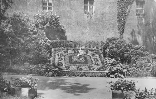 AK, Zittau, Blumenuhr, 1962