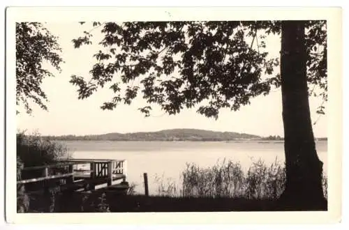 AK, Wolzig, Partie am Woliger See, Landpostst. Wolzig über Königs Wusterh., 1957