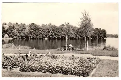 AK, Templin UM, Am Ratsteich, 1966