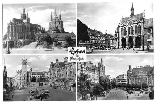 AK, Erfurt, vier innerstädtische Ansichten, 1956