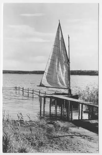 AK, Plau Meckl., Segelboot am Plauer See, 1966