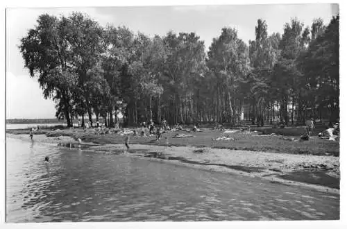 AK, Kallinchen Kr. Zossen, Bedestelle belebt, 1963