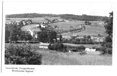 AK, Steinigtwolmsdorf, Teilansicht, um 1956