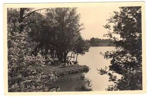 AK, Mirow Meckl., Partie am Stadtpark, 1956