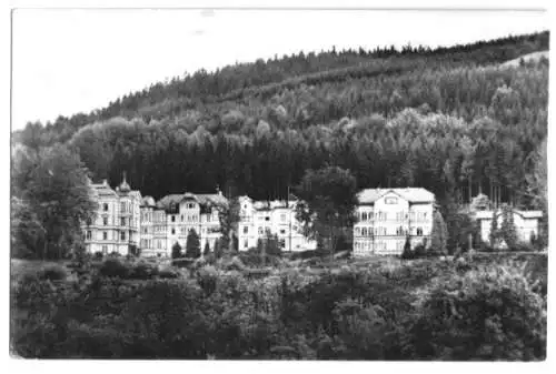 AK, Friedrichroda Thür. Wald, Büchig-Promenade, 1959