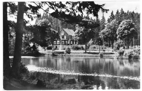 AK, Hasselfelde Harz, Haus Tannenwald, 1959