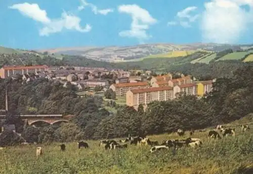 AK, Zschopau, Neubaugebiet, Kühe, 1976