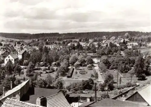 AK, Benneckenstein Harz, Teilansicht, 1972