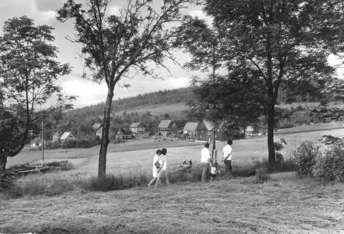 AK, Holzhau Osterzgeb., Teilansicht mit Urlaubern, 1982