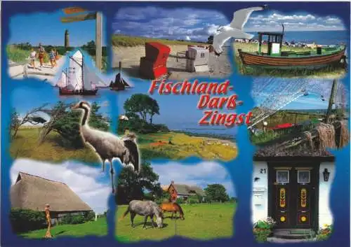 AK, Fischland - Darß - Zingst, neun Abb., gestaltet, um 2000