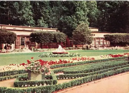 AK, Bad Elster, Am Badecafé, 1964