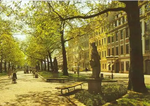 AK, Dresden, Str. der Befreiung, 1986