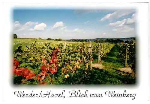 AK, Werder Havel, Blick vom Weinberg, Echtfotokarte, um 2000