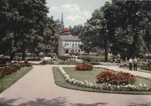 AK, Bad Elster, Rosengarten, 1965