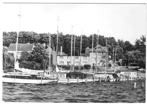 AK, Diensdorf Kr. Beeskow, Bootshafen am Scharmützelsee, 1981
